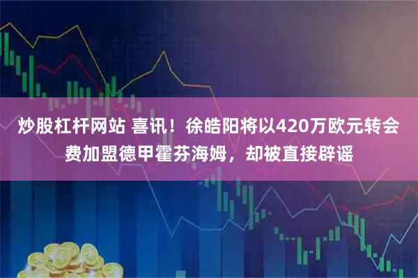 炒股杠杆网站 喜讯！徐皓阳将以420万欧元转会费加盟德甲霍芬海姆，却被直接辟谣
